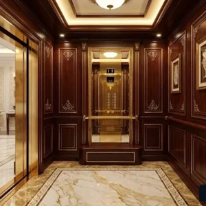 Mẫu thang máy cabin gỗ tự nhiên cao cấp thiết kế sang trọng cho biệt thự hiện đại.